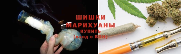 мет Протвино