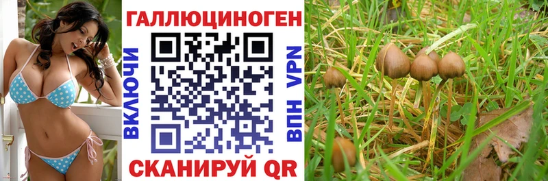 omg ссылки  Светлогорск  Псилоцибиновые грибы MAGIC MUSHROOMS 